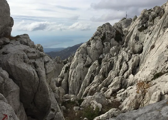 Апартаменты Lav *