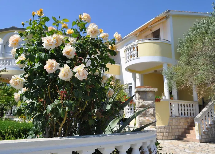 Lav Привлака