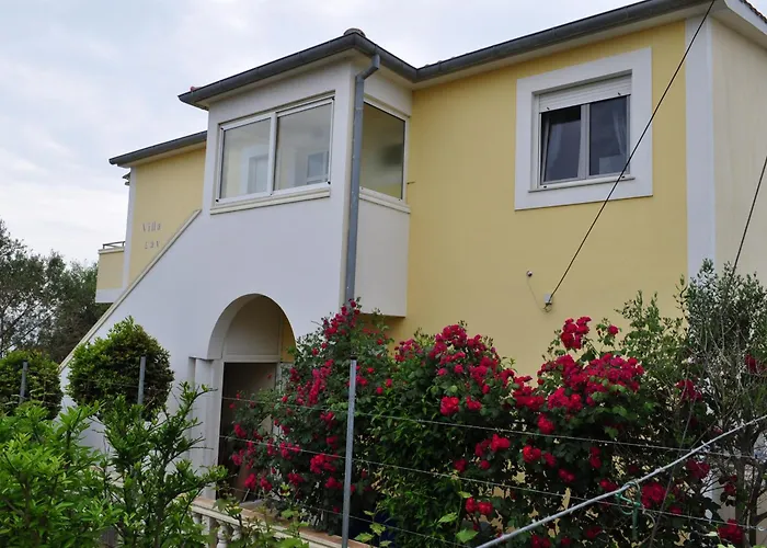 Lav * Привлака