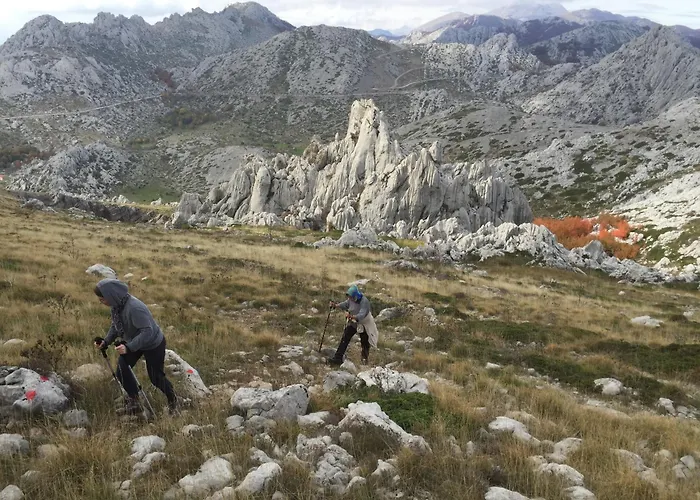 Lav Апартаменты *