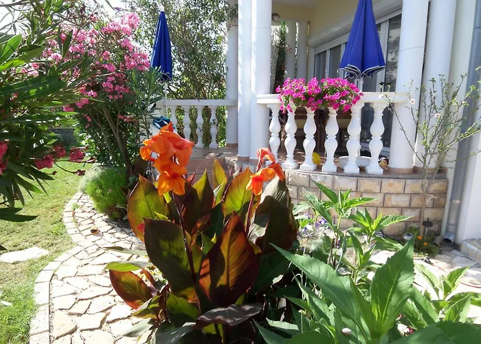 Lav Привлака