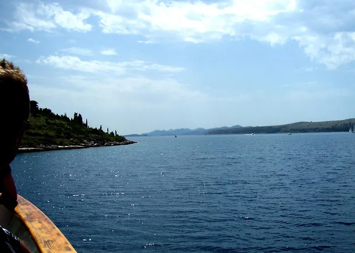 Lav * Privlaka (Zadar)